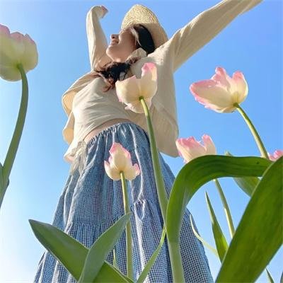 柿子坞的女人们