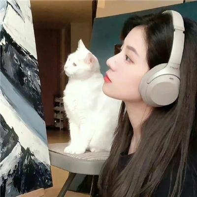 当猪起飞